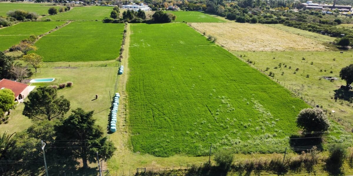 Terrenos en venta en Paysandu, Paysandú — Mendieta Müller Inmobiliaria - foto 1