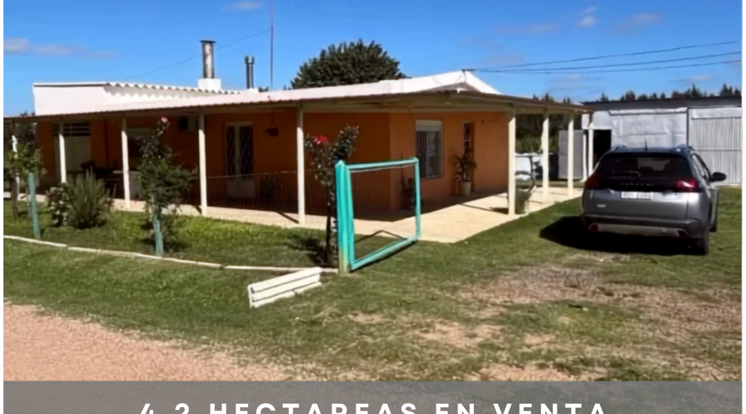 Chacras en venta en Rincón el Colorado, Rincon el Colorado, Canelones — Mendieta Müller Inmobiliaria - foto 1