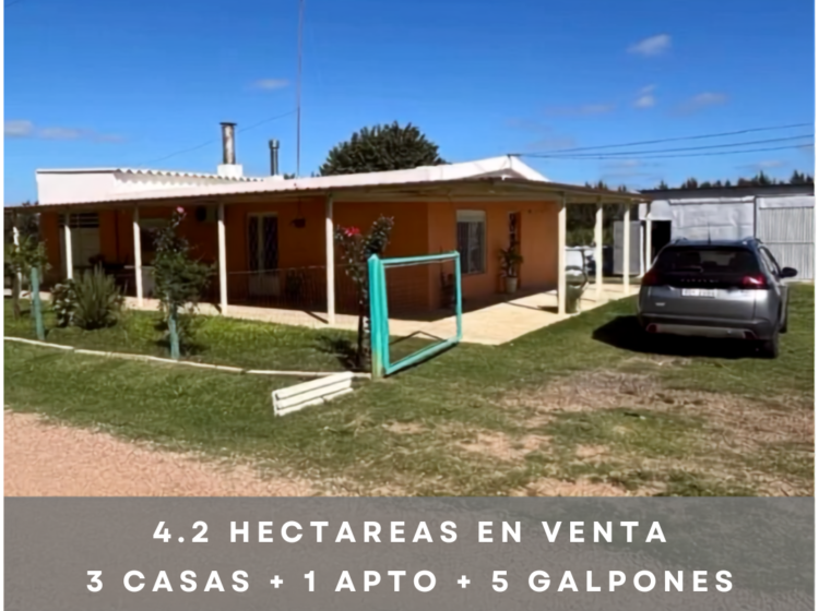 Chacras en venta en Rincón el Colorado, Rincon el Colorado, Canelones — Mendieta Müller Inmobiliaria